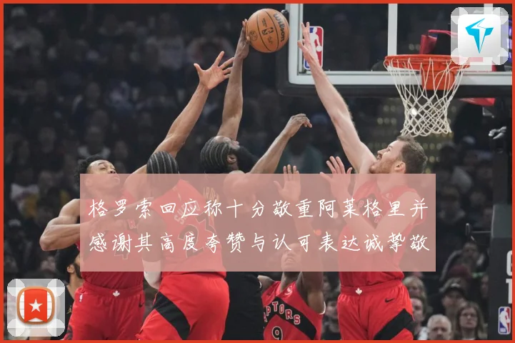 格罗索回应称十分敬重阿莱格里并感谢其高度夸赞与认可表达诚挚敬成长观察-深度解析