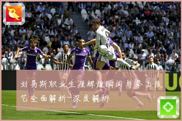 刘易斯职业生涯辉煌瞬间与拳击技艺全面解析-深度解析